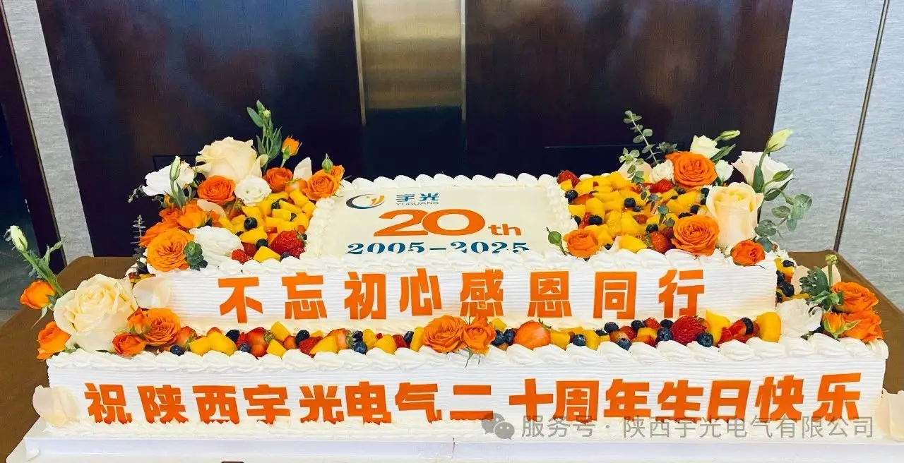 Grateful For The Companionship For Twenty Years, And Working Together For A New Future -- A Review Of The 20th Anniversary Celebration Of Shaanxi Yuguang Electric