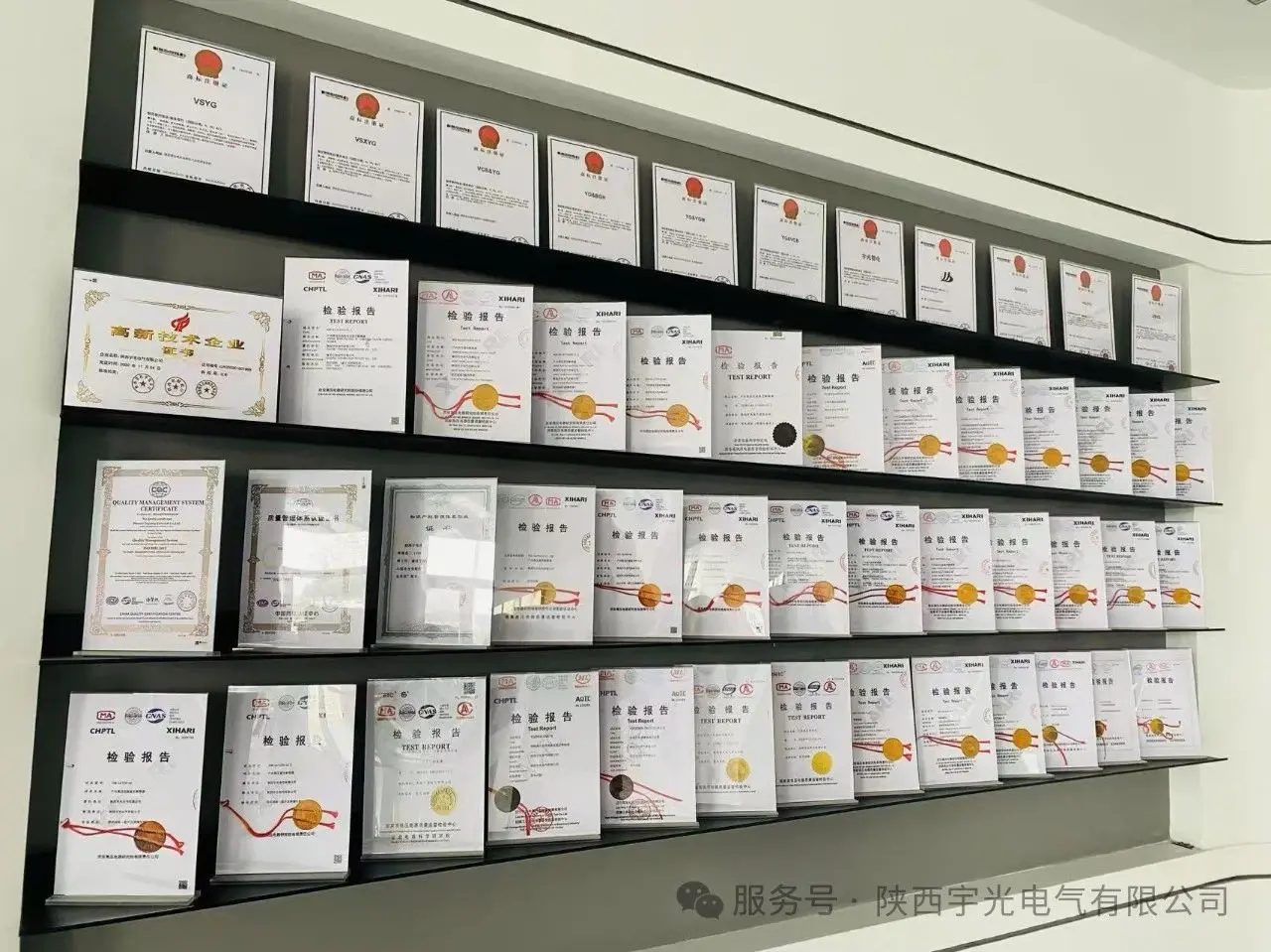 Grateful For The Companionship For Twenty Years, And Working Together For A New Future -- A Review Of The 20th Anniversary Celebration Of Shaanxi Yuguang Electric Grateful For The Companionship For Twenty Years, And Working Together For A New Future -- A Review Of The 20th Anniversary Celebration Of Shaanxi Yuguang Electric